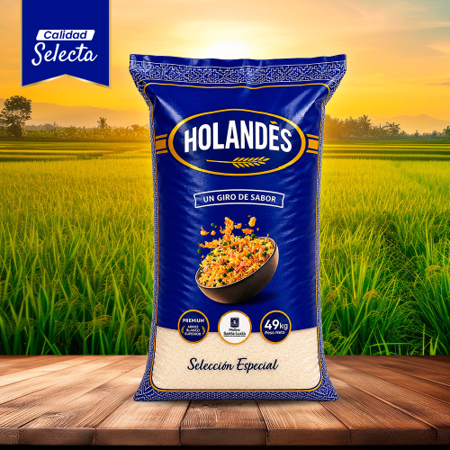 Catálogo-Web-WhatsApp-Holandés Azul
