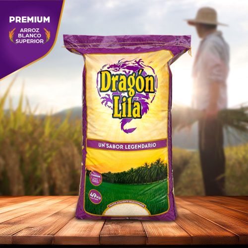Dragón-Lila-Web