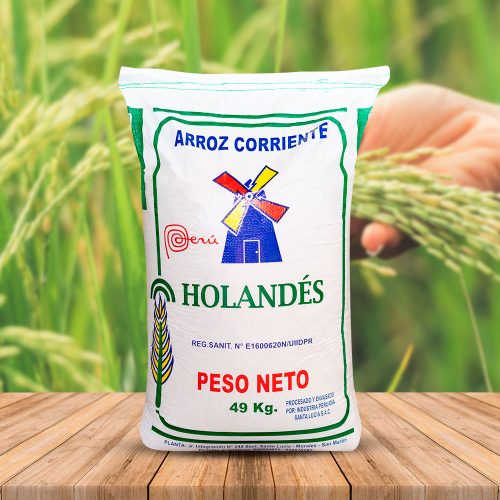 Holandés-Verde-Web